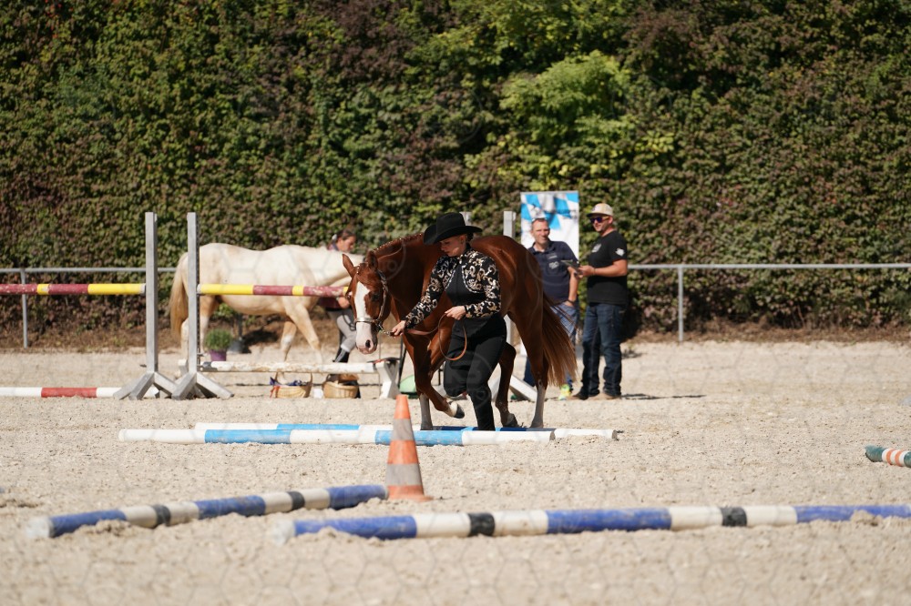 s_A_907685.JPG